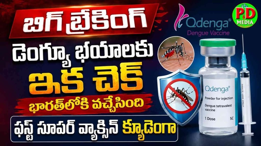 Qdenga Dengue Vaccine India : బిగ్ బ్రేకింగ్, డెంగ్యూ భయాలకు ఇక చెక్, భారత్‌లోకి వచ్చేసింది ఫస్ట్ సూపర్ వ్యాక్సిన్ క్యూడెంగా