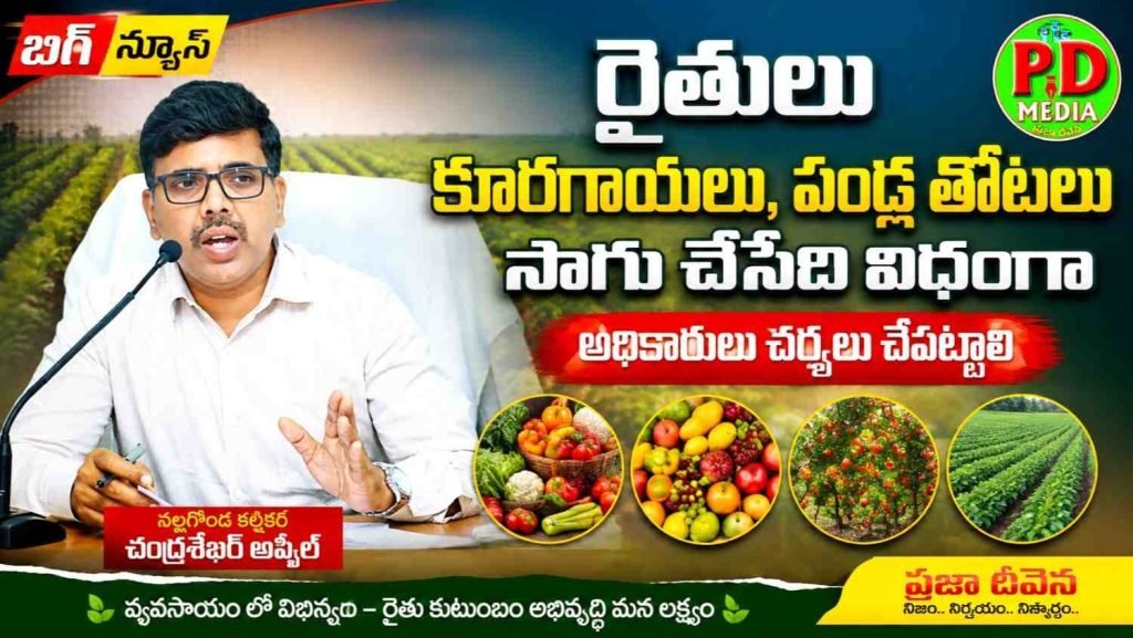 Nalgonda Collector Chandrasekhar : నల్లగొండ కలెక్టర్ చంద్రశేఖర్ అ ప్పీల్, రైతులు కూరగాయలు, పండ్ల తోటలు సాగుచేసే విధంగా అధికారులు చర్యలు చేపట్టాలి 