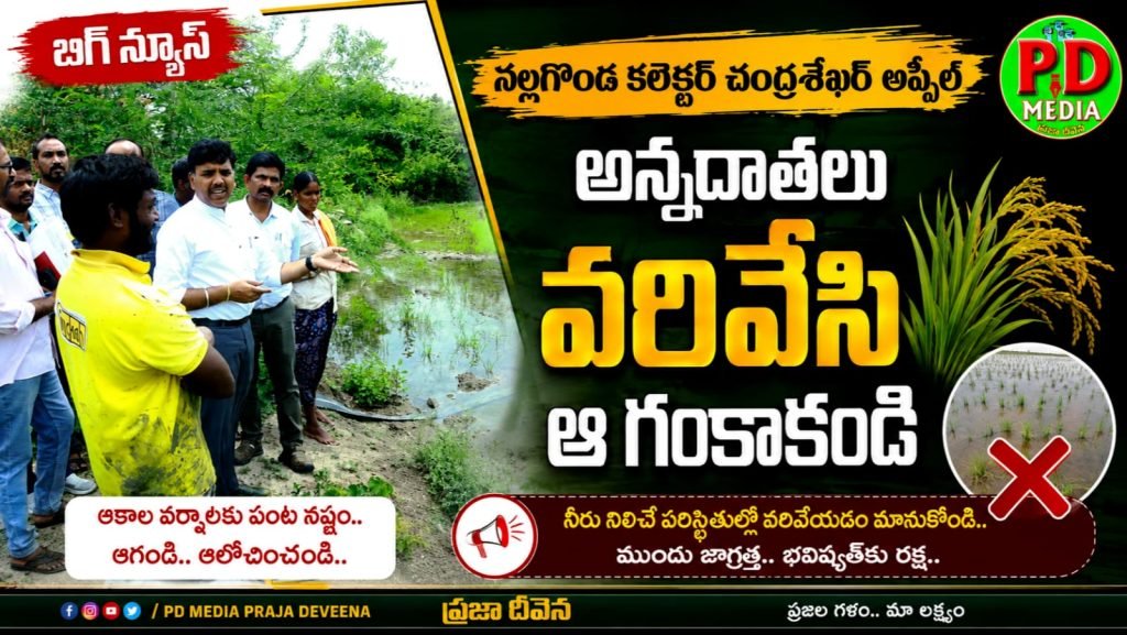 Nalgonda Collector Chandrasekhar : నల్లగొండ కలెక్టర్ చంద్రశేఖర్ అ ప్పీల్, అన్నదాతలు వరివేసి ఆ గంకాకండి 